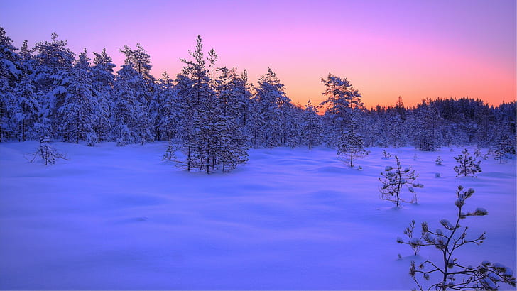 winter scenes desktop backgrounds