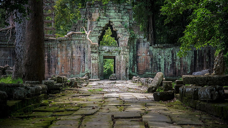 Temples, Cambodia, Religious, Rock, Ruin, Tree