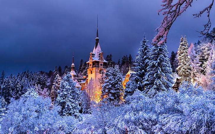 Romania, Sinaia, Peles castle, winter, trees, snow, night, lights, white and brown castle