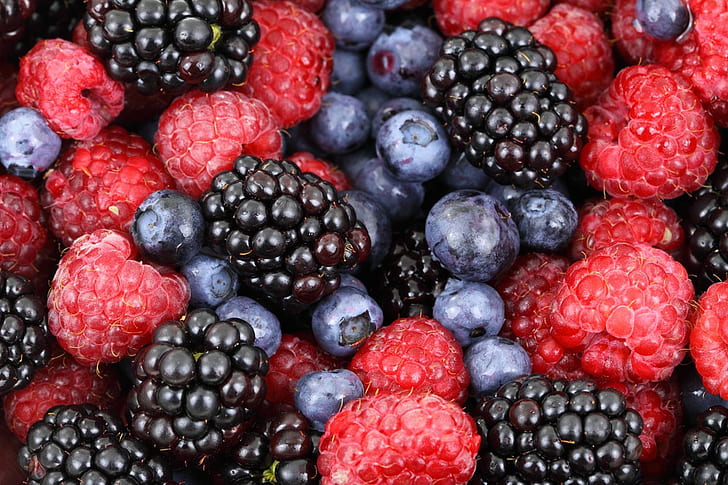 berries, blackberries, blueberries, food, fruit, raspberries, HD wallpaper